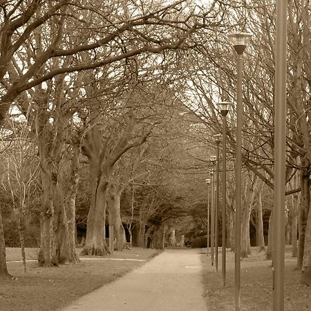 דבלין Dcu Rooms Glasnevin - Campus Accommodation חדר תמונה